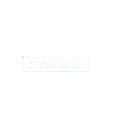 projectLogo