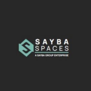 Developer Logo
