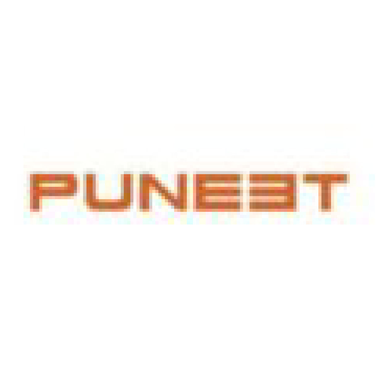 Puneet Urban spaces Logo