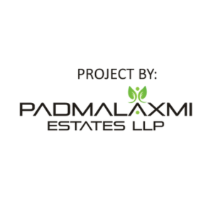 Developer Logo