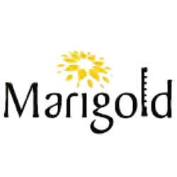 Builder Logo