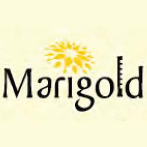 Marigold Constructions